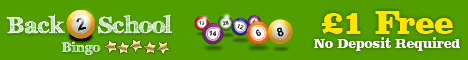 Play Online Bingo at Back 2 School Bingo