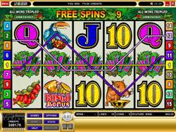 Bush Telegraph Slot Screenshot of main game