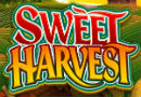 Sweet Harvest Slot